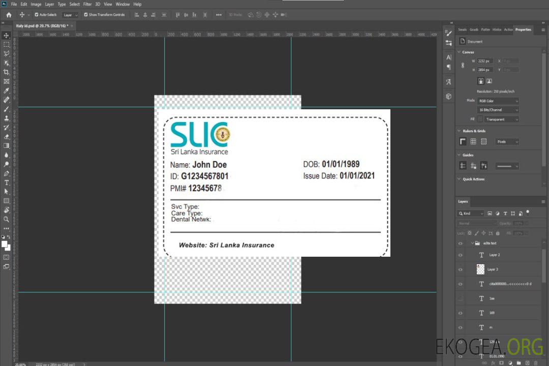 Carte d'assurance maladie du Sri Lanka template